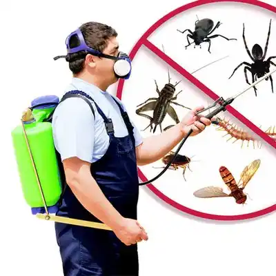pest control El Valle de Arroyo Seco